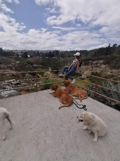 Fakali Homestay Κίτο Εξωτερικό φωτογραφία